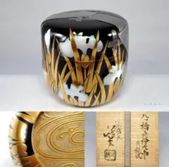 Item thumbnail for item 1e8f4585-3d85-45e8-942c-13f9bb3bd5cb