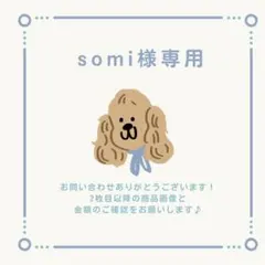 somi様 リクエスト 4点 まとめ商品