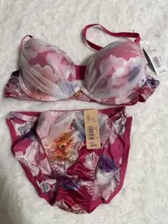 廃盤エメフィール ユニカラー花柄サテンブラジャーショーツセット　C75/M