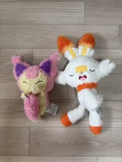 ポケモン＊エネコ/ヒバニー＊ ぬいぐるみ もふっとくつろぎダイム