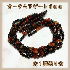 【P288】オータムアゲート☆1連☆6ミリ