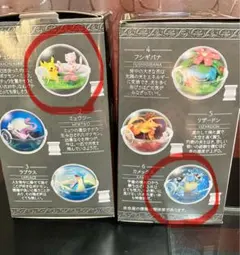 カメックス 、ピカチュウ&ミュウ　ポケットモンスター　テラリウムコレクション１５
