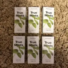 【最終値下げ】True Mints Mint Flavor トゥルーミント