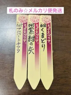 札のみ☆ミックスベリア おらいさん苗 桜子含む5種セット - メルカリ