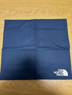 THE NORTH FACE TNFシューズケース ネイビー