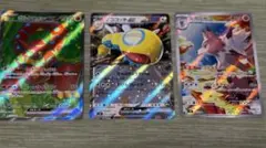 ボルケニオンex・ルガルガン・ノココッチex等１９枚　バトルパートナーズ