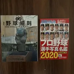 Item thumbnail for item ddbba14c-051c-4eb0-9eb9-a800556041c5