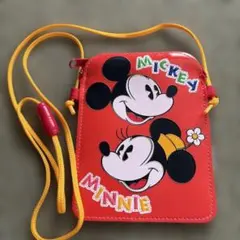 東京ディズニーランド ミッキー ミニー パスケース
