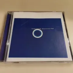 【美品 国内盤】Underworld Beaucoup Fish CD アルバム