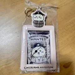 【定価以下！】ちいかわ うさぎ ちいかわアドベンチャー カード付パスケース