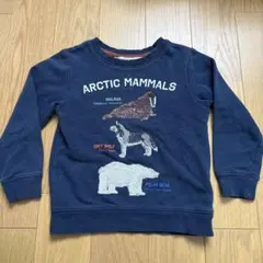 H&M エイチアンドエム トレーナー ネイビー　アニマル　裏起毛