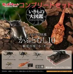オンライン ガチャ いきもの大図鑑　かぶとむし １０ コンプリート 5個セット