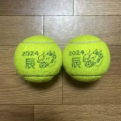 ダンロップテニスボール　2個　送料無料　2024辰