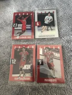 日本代表 バレーボール トレーディングカード