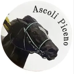 アスコリピチェーノ 缶バッジ ヴィクトリアマイル2025 JRA 競馬 ウマ娘