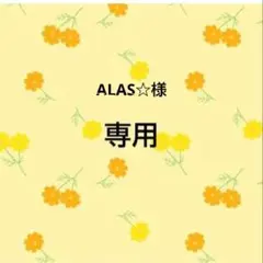 ALAS☆様　おまとめ品専用出品