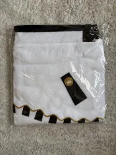 Item thumbnail for item 181ae9ee-82a0-446a-b909-4c1747c3b302