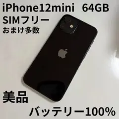 美品 Apple iPhone 12 mini 64GB バッテリー100％