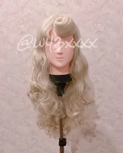 2025年最新】オーロラ姫 ウィッグの人気アイテム - メルカリ