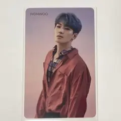 SEVENTEEN セブチ 舞い落ちる花びらHMV トレカ ウォヌ