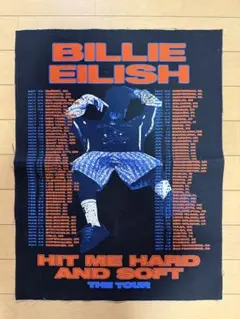 Billie Eilish Hit Me Hard and Soft ポスター