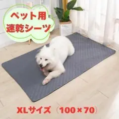 お買得価格❣️YOSA カーリスパッド 100×200センチ✨大きいテラソフト