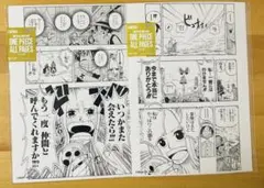 ONE PIECE オールページ　ビビ２枚セット