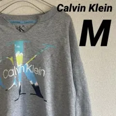 Calvin Klein スウェット グレー レディース　Ｖネック　ビックロゴM