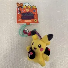韓国】 ポケモン30周年POPPOP midnightマスコット ブラッキー - メルカリ