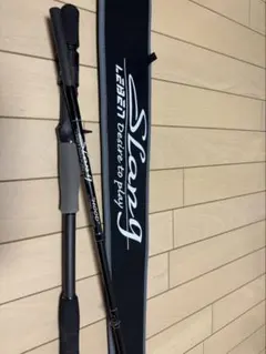 DESIGNO SLANG SHADY HOOD セット デジーノスラングSHADYインプレ【LS-C74MHRST】 | バス釣り