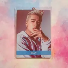 ELLY☆フォトキーホルダー