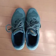 ヨネックス テニスシューズ 24