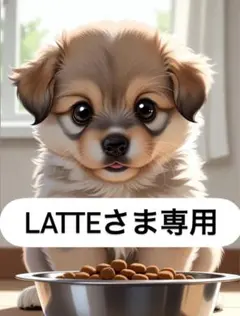 LATTEさま専用