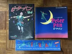 ピーターVS池畑慎之介 舞台公演入手困難非売品ポスター2枚セット