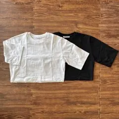 Item thumbnail for item 3a584504-6b88-473c-aad4-1ae249b46ffd