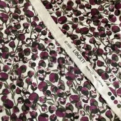 リバティニット　イライザス