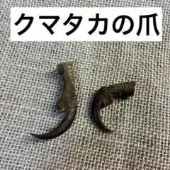 【レア】イーグルクロウ 鷲鷹 剥製 爪 猛禽 2025年最新】イーグル クロウ 爪の人気アイテム - メルカリ