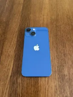 ハ*ル様 【期間限定値下げ】Apple iPhone 13 mini 256GB