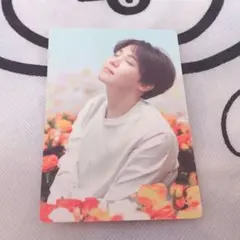 ミニフォトカード ホソク