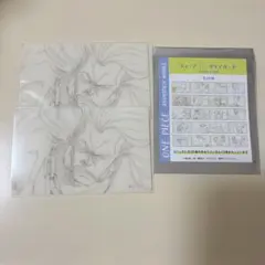 원피스 ANIMATION WORKS ウィーアー クリアカード クリーク