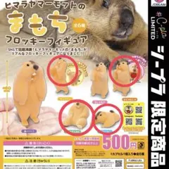 まもち フロッキーフィギュア マーモット