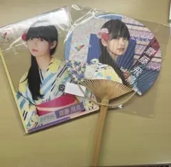 Item thumbnail for item 6e638699-ca25-47b2-a3e3-80749f35a6e3