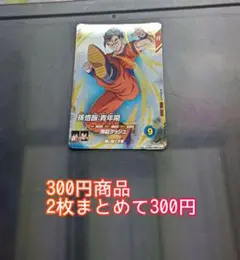 sdv9-022 孫悟飯青年期 ダイバーズ db