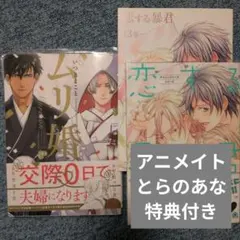 BLコミック2冊セット 入れ替え可能 - メルカリ