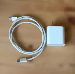 【純正品】Apple 20W充電器＆タイプC ケーブルセット