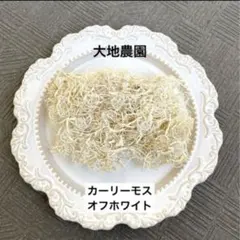 Item thumbnail for item 46a15096-3bed-485a-b3a5-e09af439858a