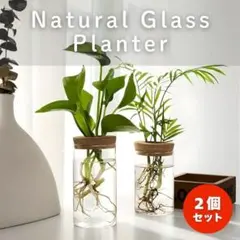 大小2個セット フラワーベース プランター ガラス 花瓶 おしゃれ インテリア