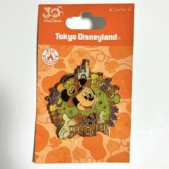 ディズニーストア チップとデール ハロウィンピンバッジ 2004 - メルカリ