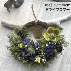 SALE✴︎163】ドライフラワーリース　クリスマスローズのハーフリース