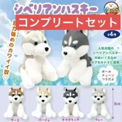 2026年最新】シベリアンハスキー ぬいぐるみの人気アイテム - メルカリ